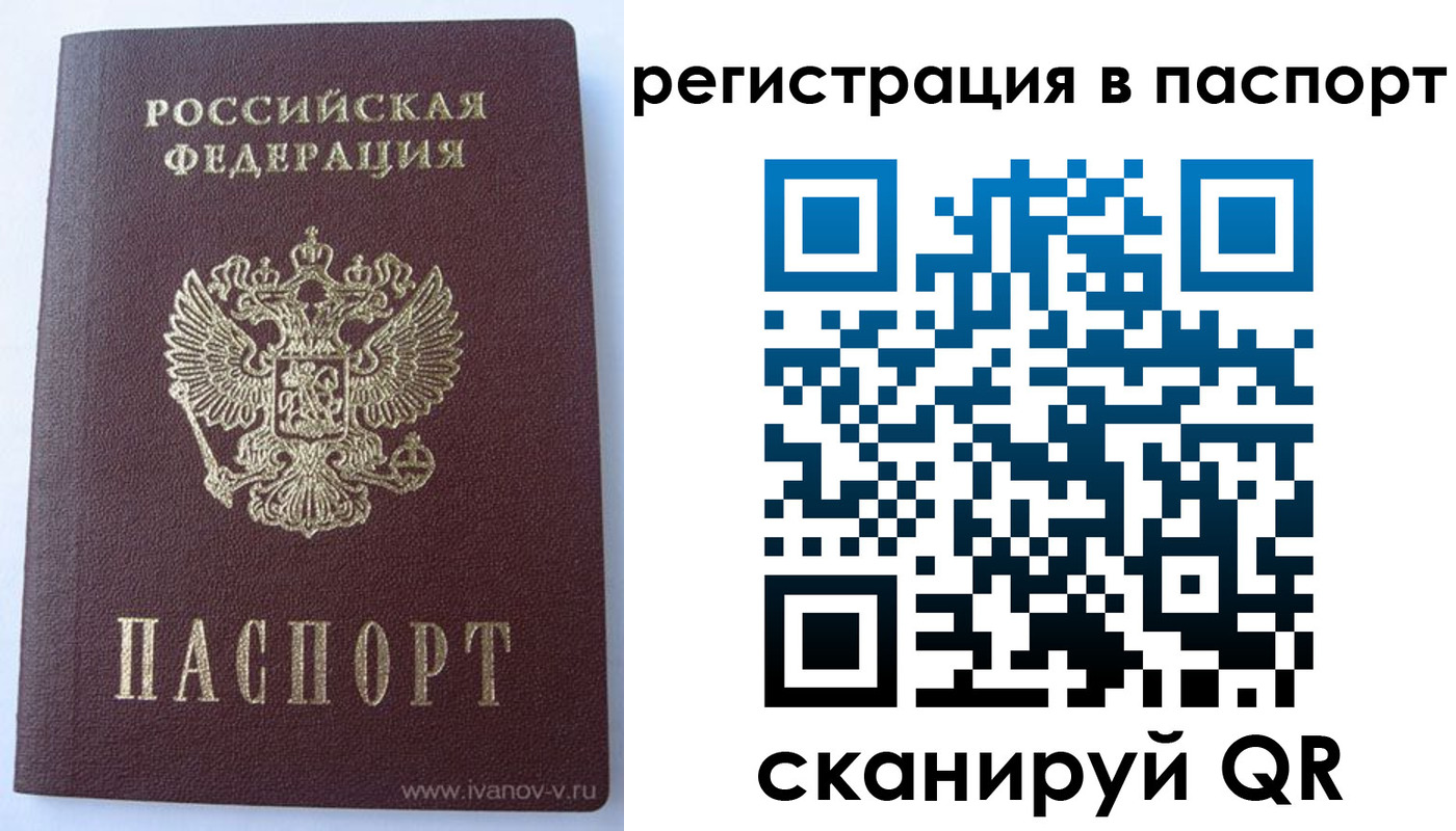 прописка поиск в Пушкино